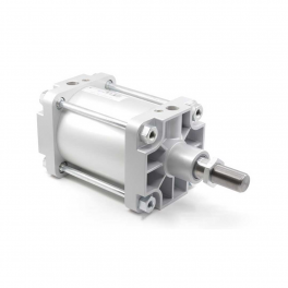 Пневмоцилиндр PMBYA-250-070 Pemaks